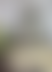 Kitties and Houseplants 