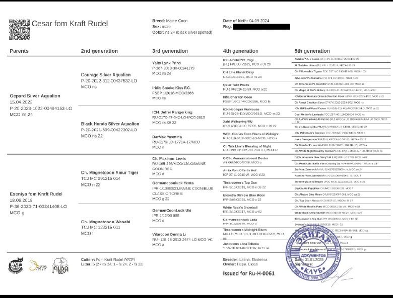 Theos pedigree