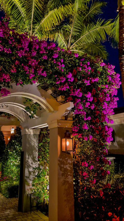 Archway entrance to home in Delray Beach with bright pink bougainvillea and coach lights at night