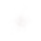 IMG_0038.PNG