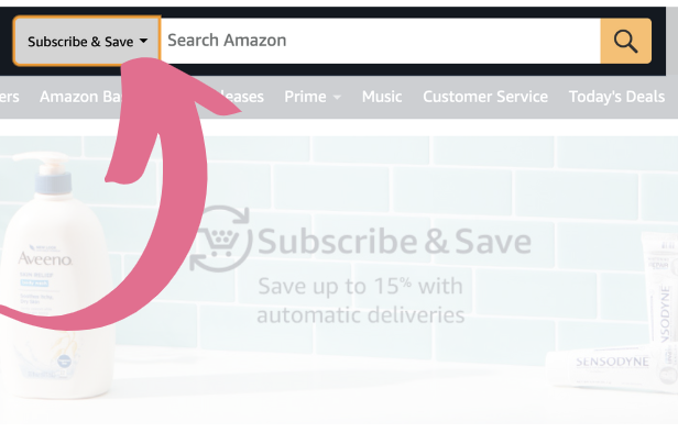 Screenshot of How to Find Subscribe & Save Search Bar on Amazon