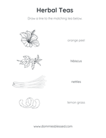 Herbal Tea Match Coloring Worksheet