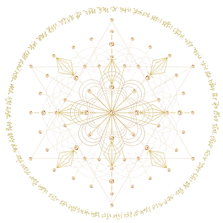 BOOK 1 LIGHT CODE TRANSPARENT.png