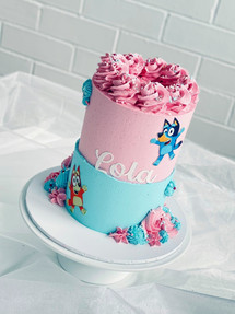 Bluey themed buttercream birthday cake. Brisbane cakes, Ipswich cakes