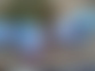 【地域公益活動紹介】せせらぎ清掃