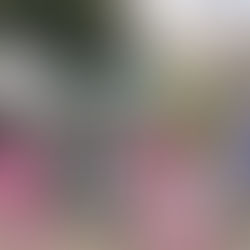 【地域公益活動紹介】真野ふれあい盆踊りに参加しました