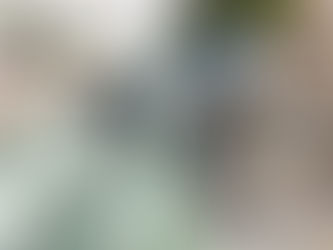 【地域公益活動紹介】公園のゴミ拾い