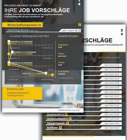 CAREER PROFILER_Jobvorschlaege_edited.jp