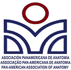 logo-APA-transp-new-26-1.png