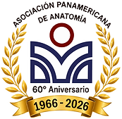 logo-apa-60-transp-linea.png