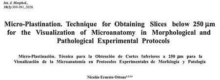 Micro-Plastination
