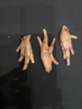 Dehydrated Chicken Feet 