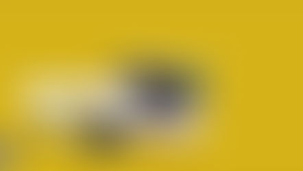 A Whole Lot of Speculation 