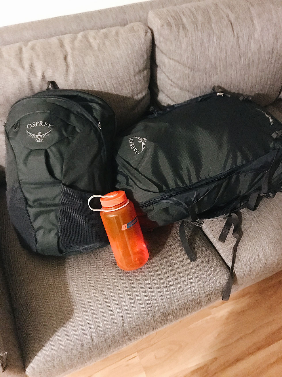 (day pack zips off the travel bag)