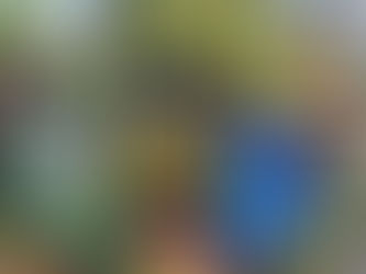 TÝDENNÍ PŘEDPOVĚĎ (10.5. – 16.5.2021) - OTOČENÍ