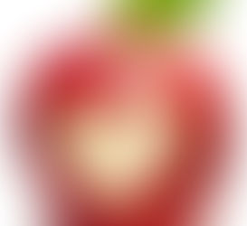 30.11. - DEN VĚŠTĚNÍ