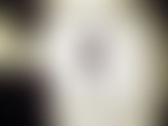 ČERNÁ LUNA V BERANU (27.1. - 20.10.2020)