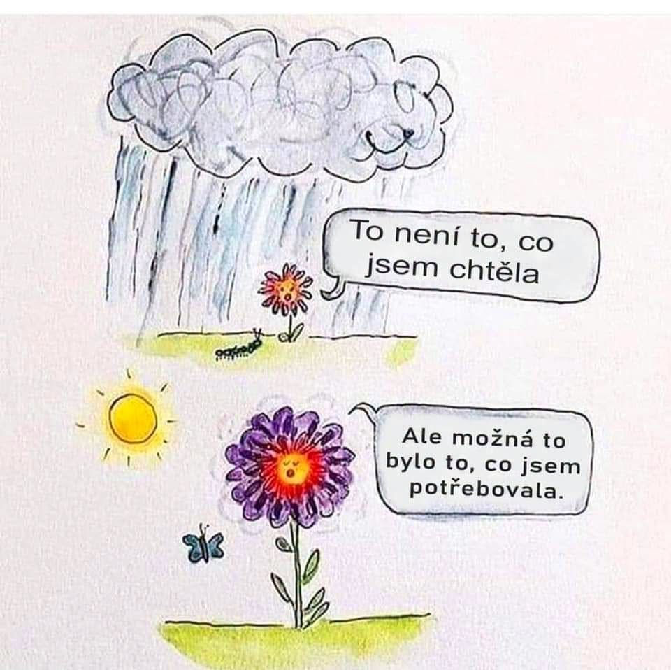 Někdy si v životě něco přejeme úplně jinak..