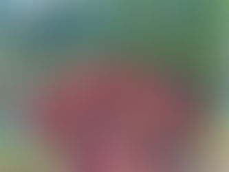 TÝDENNÍ PŘEDPOVĚĎ (14.6. - 20.6.2021)