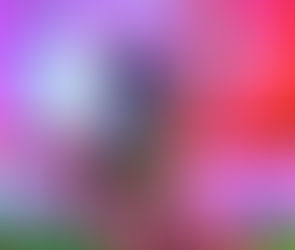 PÁTEK - NEDĚLE (24.1. - 26.1.2020)