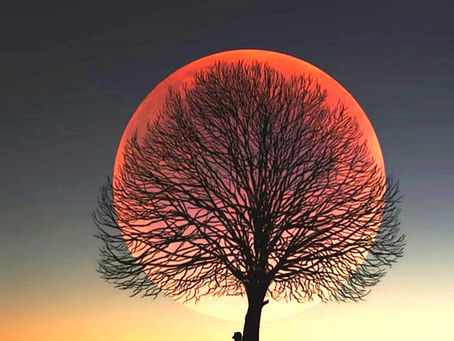 ÚPLNĚK V KOZOROHU (24.6.2021, 20:36 hodin)