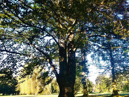 ZIMNÍ SLUNOVRAT - 21.12.2018 - 23:23