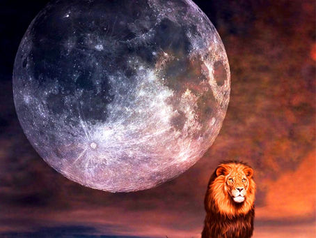 ÚPLNĚK VE LVU (28.1.2021, 20:16 hodin)