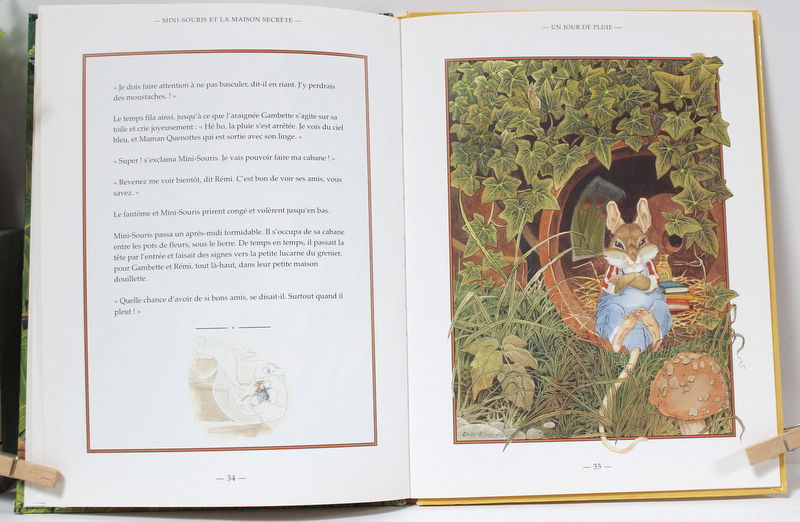 Miniature : Mini-Souris et la maison secrète