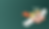 shutterstock_2158628743 [Converted].png