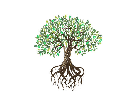 Arbre symbolisant la confiance en soi et l’ancrage intérieur, en lien avec la pratique de la sophrologie