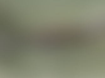 EL PEZ ALEGRÍA. Por Uriel Villalobos Cadena