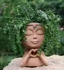 HEAD PLANTER