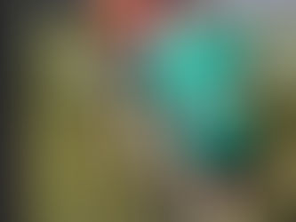 Senior Boys Victorious in Ulster Schools Cross Country Championships