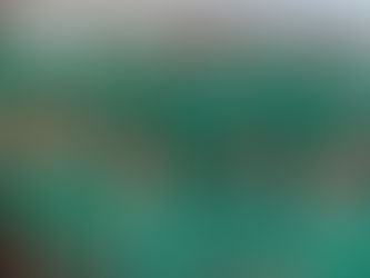 St Malachy’s water polo players represent Ulster Schools 