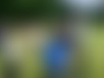 Year 8 End of Term Trip To Belfast Activity Centre!