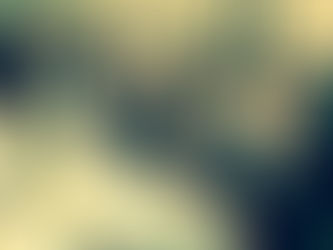 The 89th St Malachy’s College Old Boys’ Association Dinner