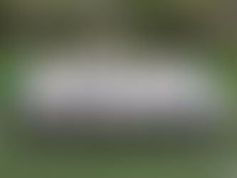 Year 10 soccer success in the Belfast Cup