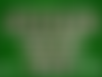 Anti-Bullying Workshops