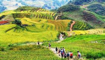 sapa trekking