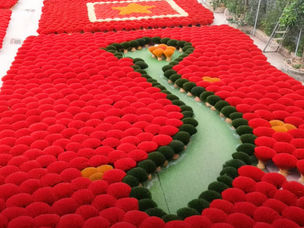 Incense village Hanoi - Quang Phu Cau