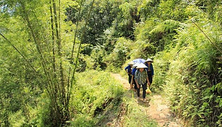 Pu luong trekking