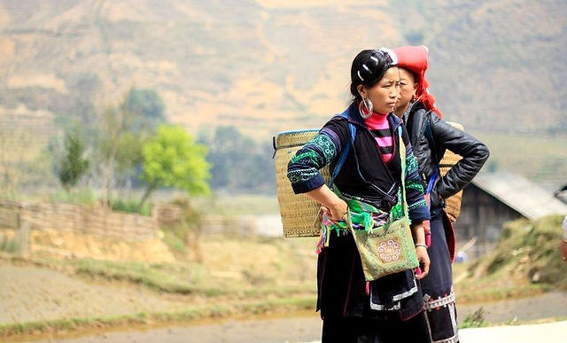 Sapa to Halong Bay Tour