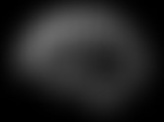 Black and white brain image