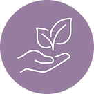 24-annual-section-03-grant-icon-seed-transparent.png