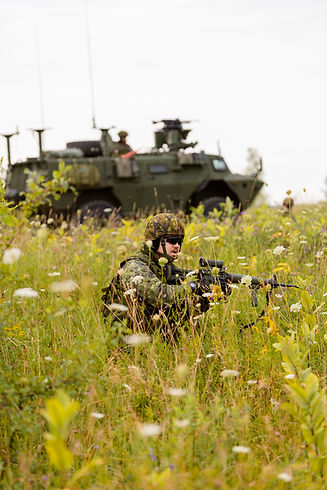 AG-43.jpg