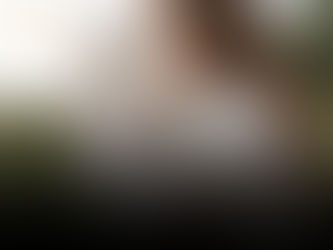 Separação amigável: maturidade emocional ou tentativa de evitar a dor?