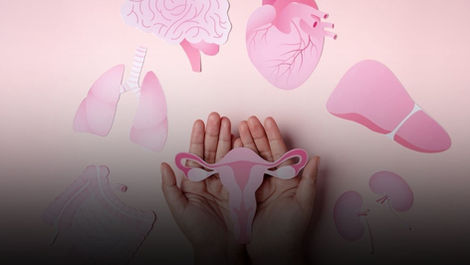 Saúde íntima exige cuidados diários: por que pequenas atitudes fazem grande diferença no bem-estar feminino