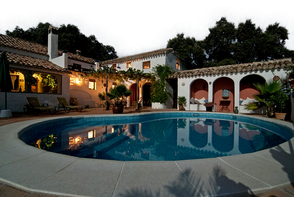 vita-vilcina-KtOid0FLjqU-unsplash.png