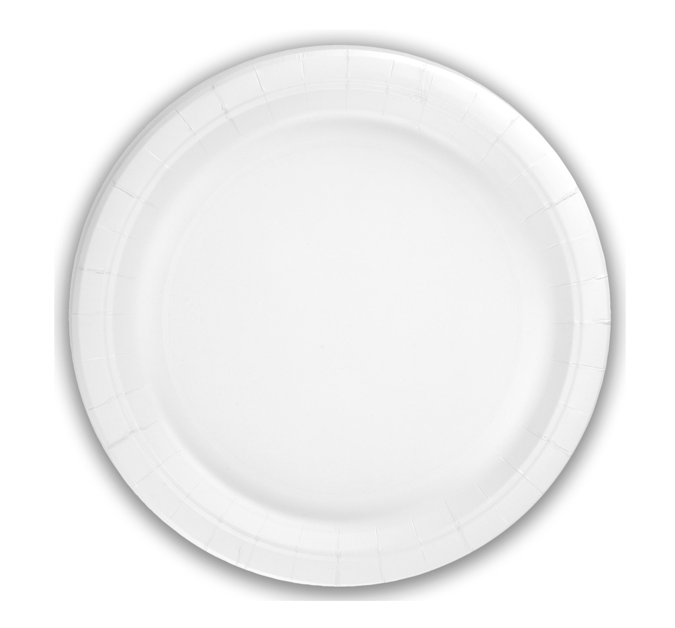 White Party Plates (8 Pack)