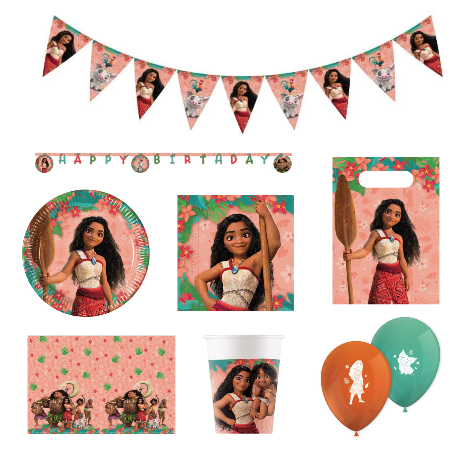 Disney Moana Mega Set (For 16)